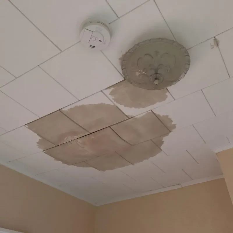 Ceiling Water Damage Repair in Ranson, WV