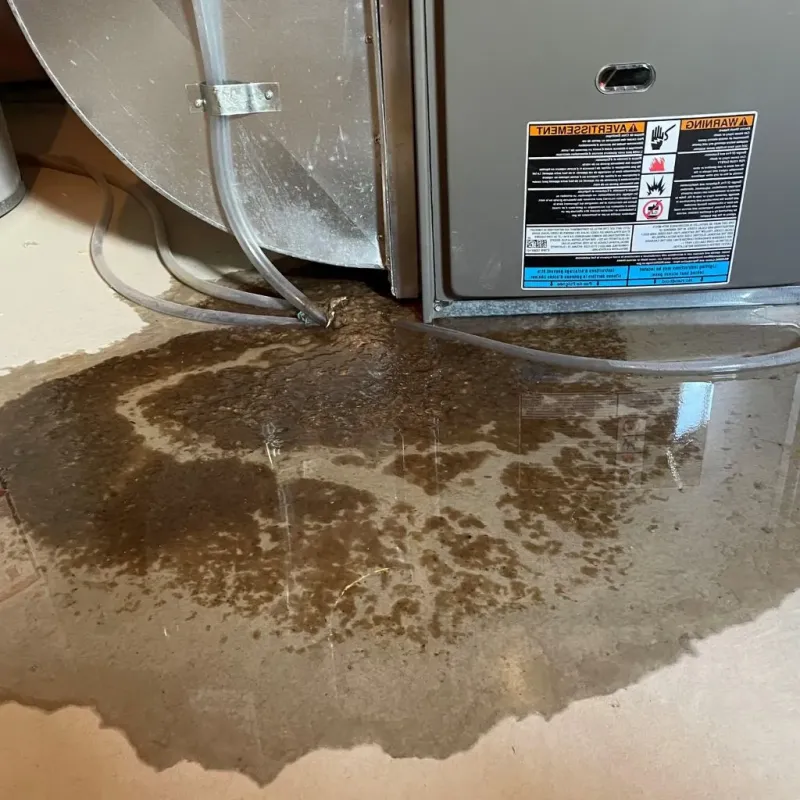 Pipe Burst and Leak Restoration in Ranson, WV