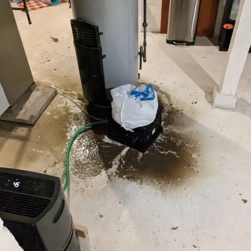 Sewage Backup Cleanup Service in Ranson, WV